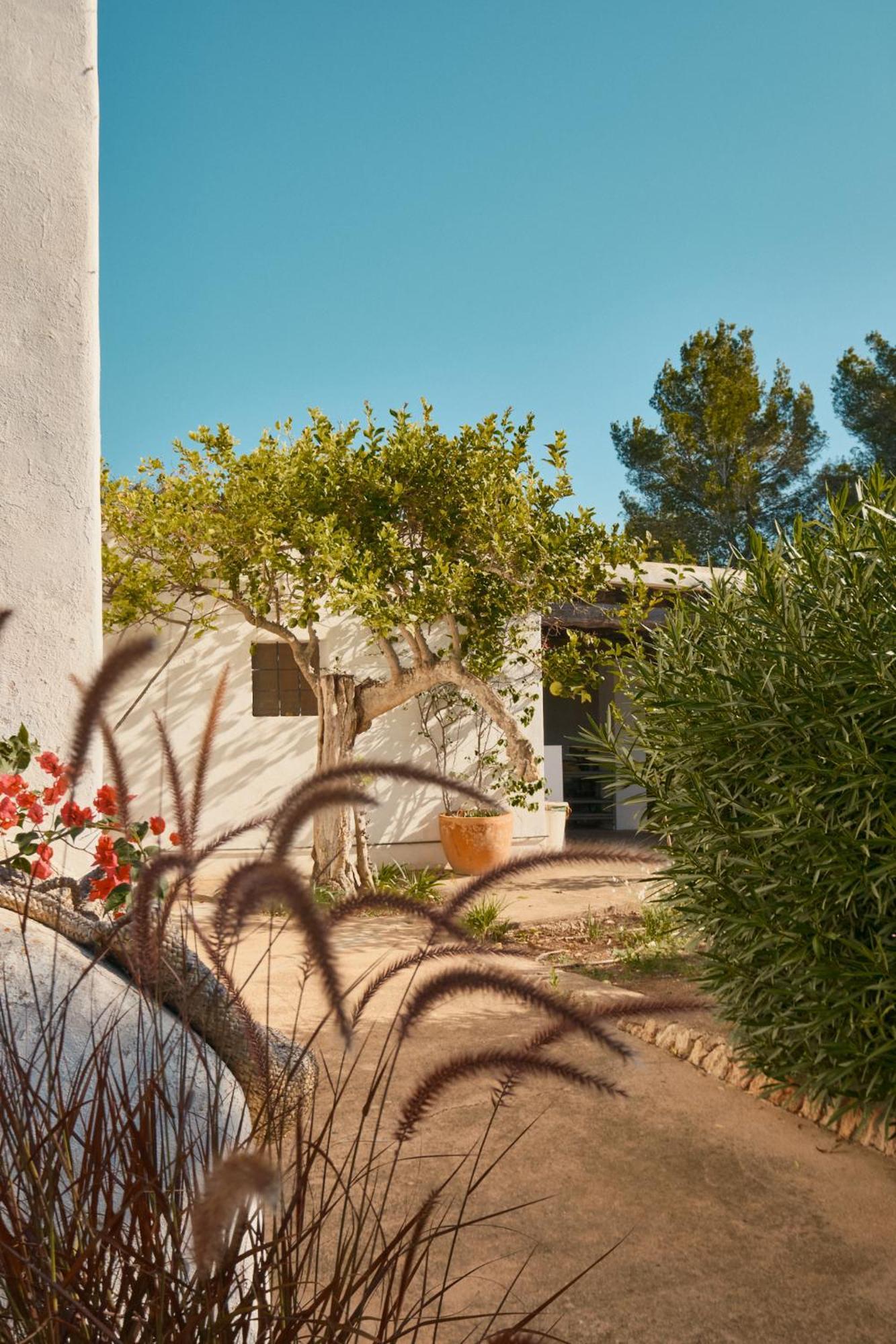 The Guardian House Santa Gertrudis (Ibiza) Exterior foto